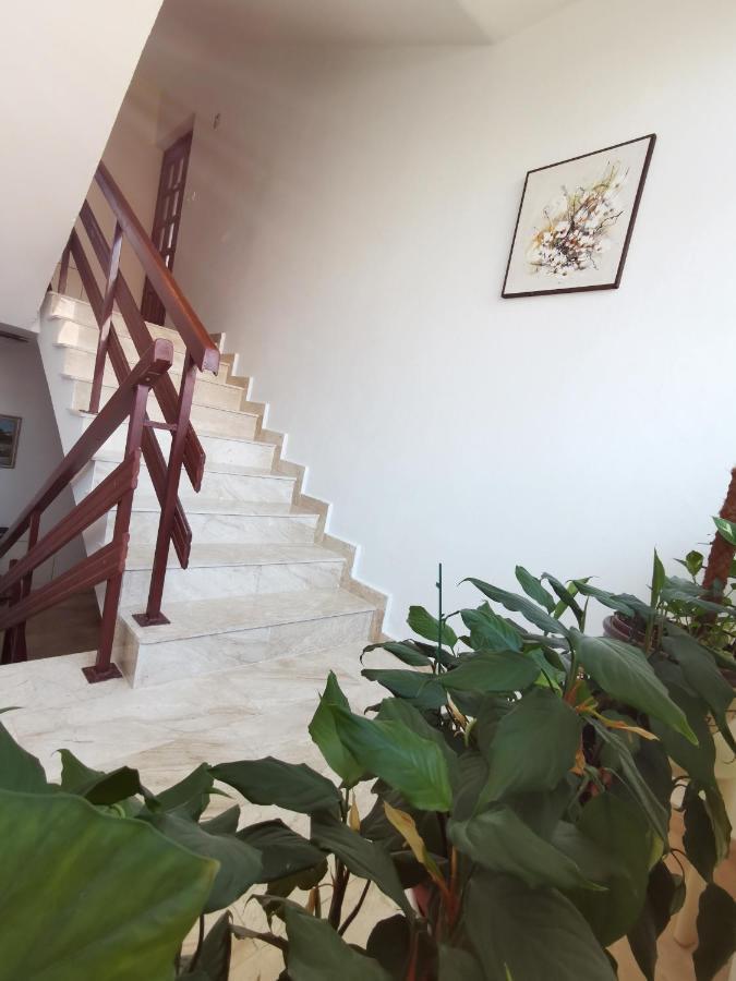 Apartment Kamen Novi Vinodolski Dış mekan fotoğraf